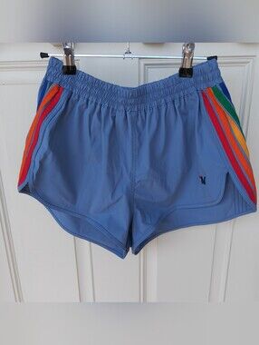 Aviator Nation 5 Stripe Rainbow Micro Shorts size L